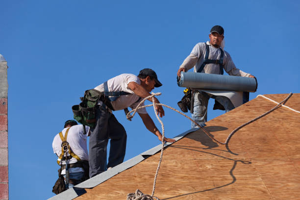 Best Roof Gutter Cleaning  in Jackson, MO