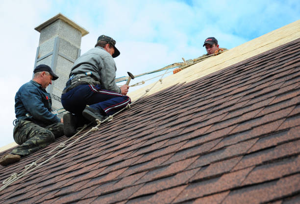 Roof Gutter Cleaning in Jackson, MO