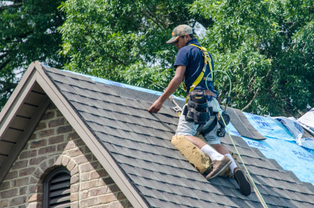 Professional Roofing Contractor in Jackson, MO